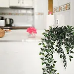 Torrevieja City Apartment Torrevieja